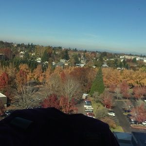 Meet your Posher, Marlene